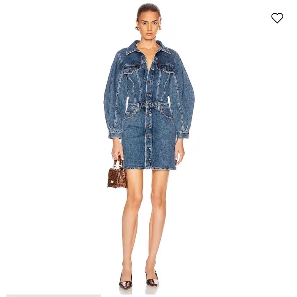 Agolde Balloon Sleeve Dress in Shelter Denim